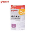ピジョン 母乳実感 乳首 6カ月 L pigeon