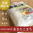 新米 米 5kg 秋田県 大潟村産 あきたこまち 100% 令和元年産 お米 【無洗米】【普通栽培米 農友こまち】【産地直送】【同梱配送不可】【代引き・後払い決済不可】【沖縄・離島配送不可】