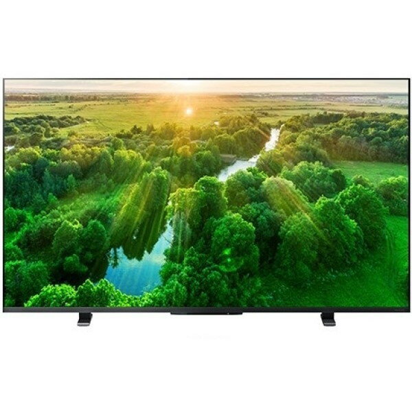 テレビ 50型 東芝 レグ