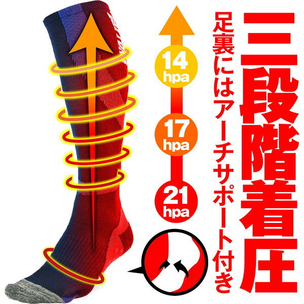 �ǥ��ȥ� D31441 ���� ��ϫ�ڸ����å��� �ͥ��ӡ�