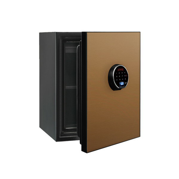 【 開梱設置無料 】 金庫 耐火金庫 BEYOND ゴ−ルド 指紋認証 アラーム付 1時間耐火 おしゃれ インテリア 収納 セキュリティ 家庭 容量36L 60kg BY500CG diplomat メーカー直送