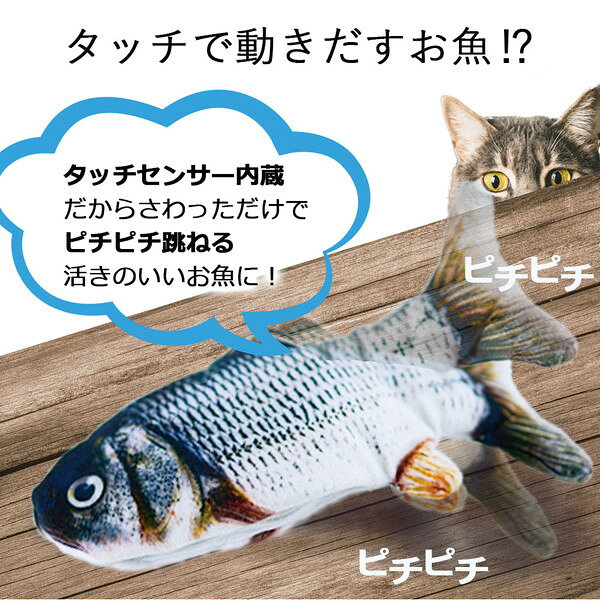 総合通販PREMOA 楽天市場店のお魚ピチピチ サバ 日翔｜アングル3
