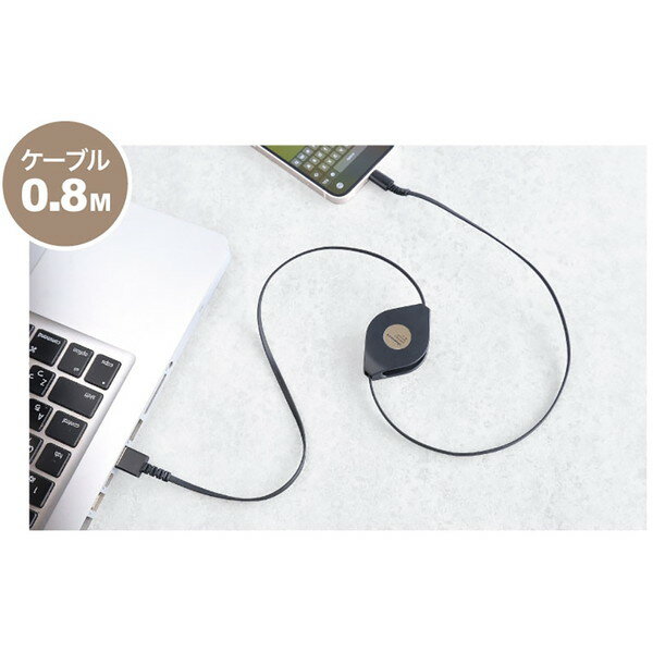 KL-125 カシムラ ブラック [USB充電&同期ケーブル 80cm 強靭タイプ リール Lightning]