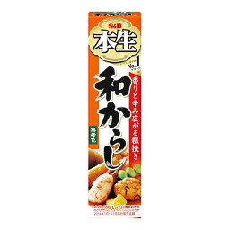 エスビー食品 S&B エスビー 本生 和からし 43g ×10 メーカー直送