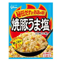 グリコ 焼豚うま塩 炒飯の素 35.2g ×10 メーカー直送