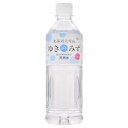 ロジネットジャパン 北海道大雪山 ゆきのみず ペットボトル 550ml ×24 メーカー直送 ギフト プレゼント
