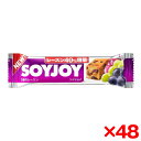 【エントリーでP5倍!20日20:00-27日1:59】 【48個セット】大塚製薬 POC 57381 SOYJOY 3種のレーズン味