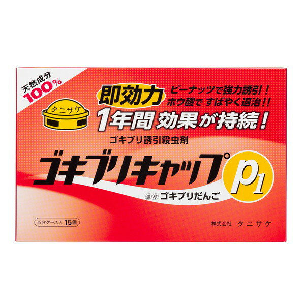 �S�L�u���L���b�vP1 15�R��