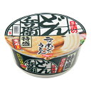 日清食品 どん兵衛 特盛きつねうどん 131g ×12 メーカー直送