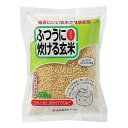 z㐻 ӂɐ錺 Ђ 500g ~10 [J[