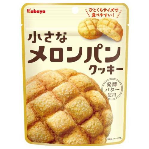 カバヤ食品 カバヤ 小さなメロンパンクッキー 41g ×6 メーカー直送