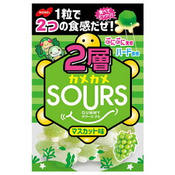 ノーベル製菓 ノーベル 2層カメSOURSマスカット 45g ×6 メーカー直送