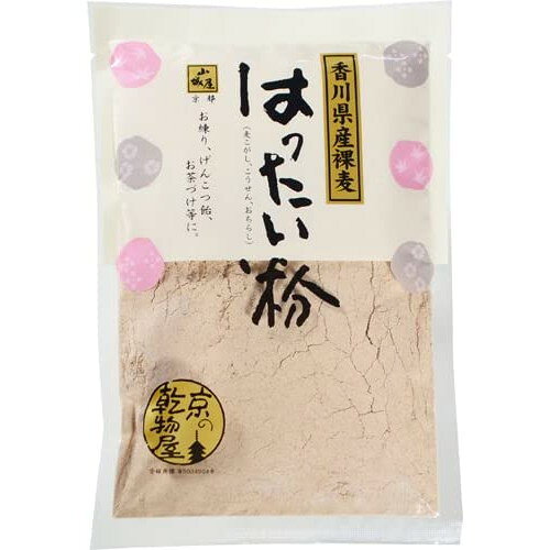 真田 山城屋 香川県産 はったい粉 100g ×10 メーカー直送 ギフト プレゼント お歳暮 冬ギフト