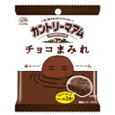 不二家 カントリーマアム チョコまみれ 48g ×10 メーカー直送 お中元 ギフト 夏ギフト プレゼント