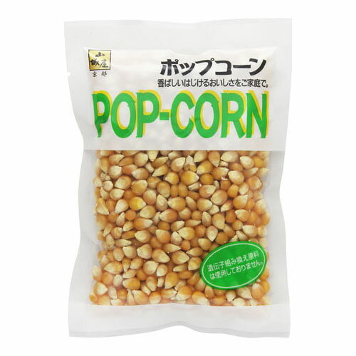 真田 山城屋 ポップコーン 150g ×10 メーカー直送 ギフト プレゼント