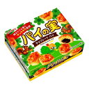 ロッテ パイの実 73g ×10 メーカー直送 ギフト プレゼント