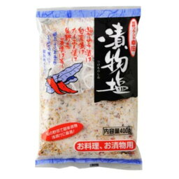 幸田商店 幸田 漬け物塩 400g ×10 メーカー直送