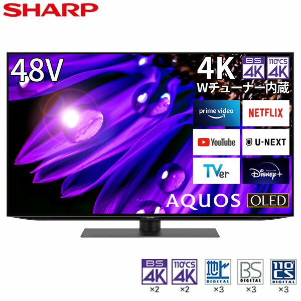 SHARP 㡼 ᡼ݾб б 4T-C48EQ2 ͭELƥ AQUOS() 48V /4Kб /BSCS 4K塼ʡ¢ /YouTubeб ᡼ͤ