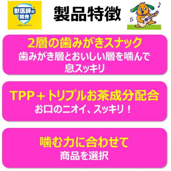 サンプル画像2