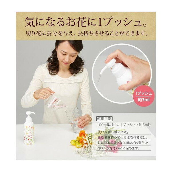 1008536 ���֤�Ĺ����������ܺޥݥ�׼� 300ml ������ǥ���