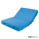 【法人限定】 エバニュー EVERNEW EGD212 屋内カラーエバーマット二折200×300×20 メーカー直送