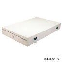 【法人限定】 エバニュー EVERNEW EGD224 抗菌屋内エバーマット200×300×40 メーカー直送