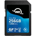 OWCSDV60P0256 OWC Atlas Pro SD 256GB