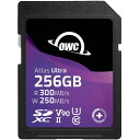 OWCSDV90U0256 OWC Atlas Ultra SD 256GB