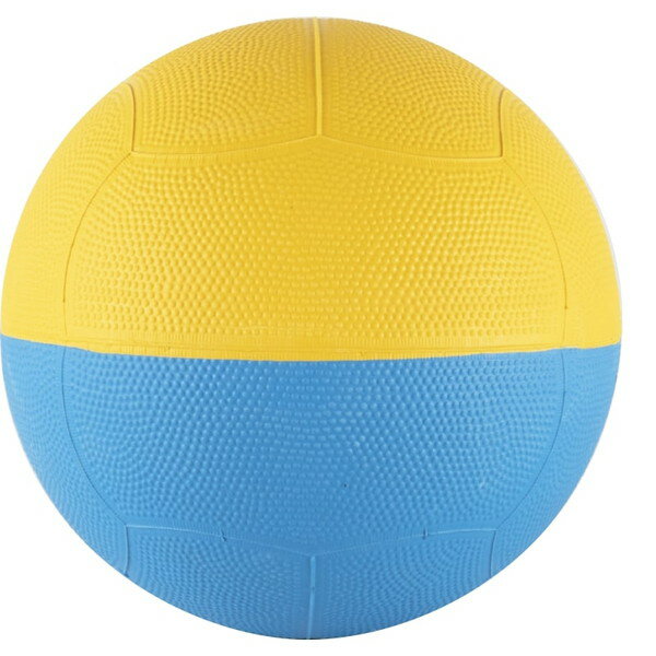 エバニュー EVERNEW EKD445 ライトドッジボール