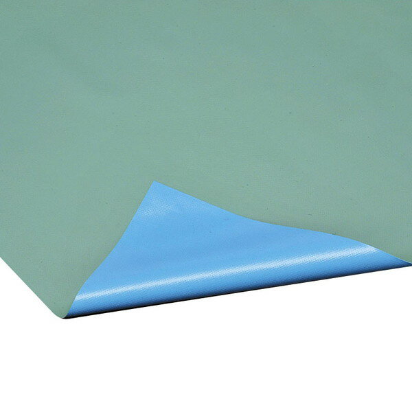 Sports Equipments - 【法人限定】 エバニュー EVERNEW EKF203 フロアシートGB0.52×35 メーカー直送