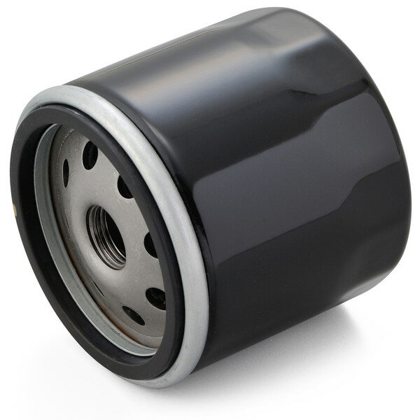 �ǥ��ȥ� D21041 ��ץ쥤��������ե��륿�� ��󥹥���1200