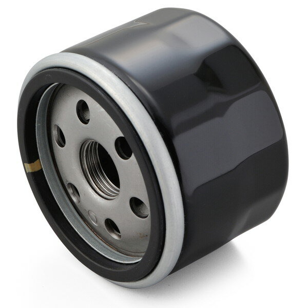 デイトナ D21043 リプレイスオイルフィルター S1000RR