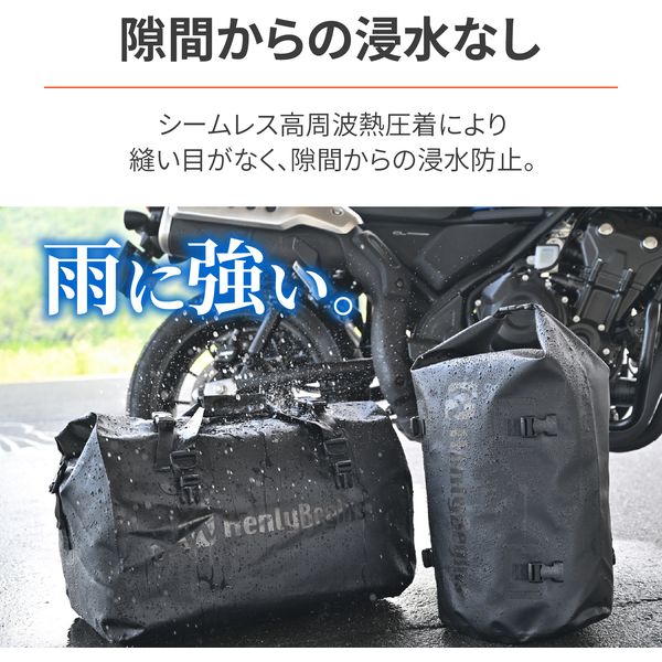 D41380 ヘンリービギンズ シートバッグ 60L DH-767 ブラック デイトナ