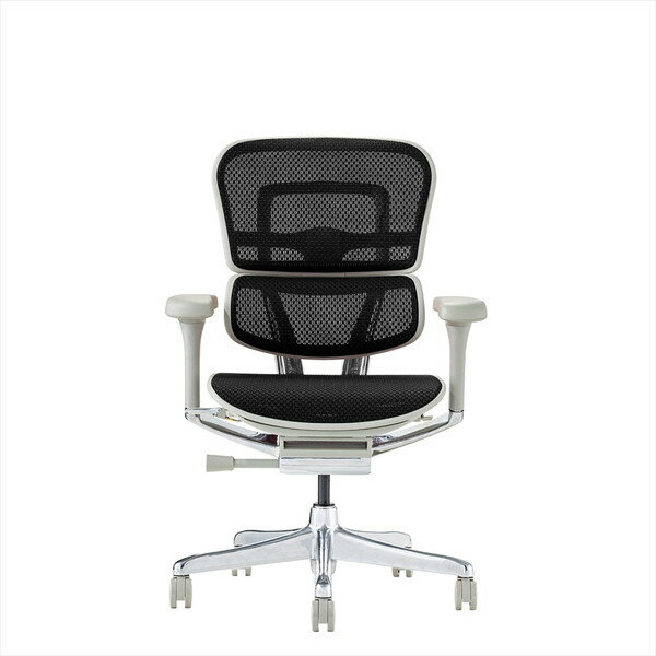 Ergohuman PRO2 EHP2-LAM-GF-BK [�u���b�N]