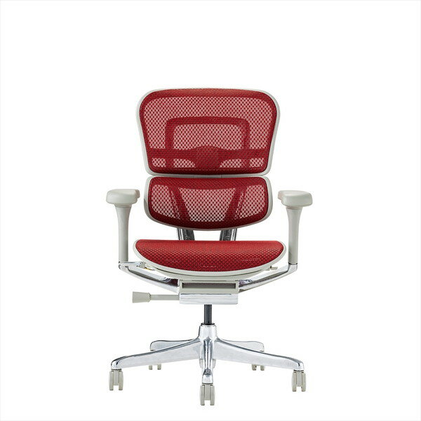 Ergohuman PRO2 EHP2-LAM-GF-RD [���b�h]