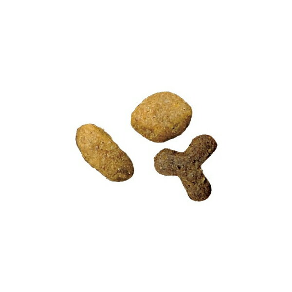 ピュリナワンキャット 美味を求める成猫用 1歳...の紹介画像2