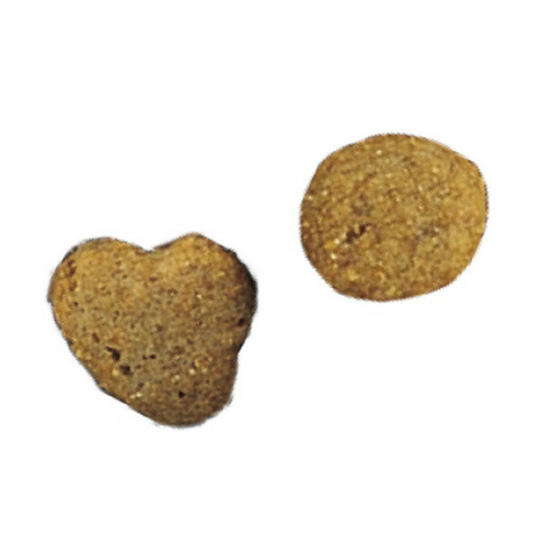 ネスレ ピュリナワン キャット 健康マルチケア 11歳以上 チキン 2Kg キャットフード 猫用 ねこ用 ペットフード アウトレット エクプラ特割