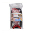 お魚ピチピチ タイ 日翔
