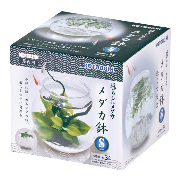【エントリーでP5倍!20日20:00-27日1:59】 暮らしにメダカ メダカ鉢 S コトブキ工芸 メーカー直送