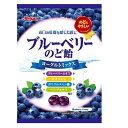 ご注文前にご確認ください※ 12時から14時の時間帯指定はできません。ご指定の場合は14時から16時にて手配いたします。商品説明★ 他社にはないブルーベリーと相性の良いヨーグルトでまとめた、うるおい満ちる機能的キャンデー※メーカーの都合により、パッケージ・仕様・成分・生産国等は予告なく変更になる場合がございます。※上記理由でのご返品はお受けできませんので、事前お問合せなどご注意のほど宜しくお願いいたします。スペック* 総内容量：64g* 商品サイズ：20×140×210* 原材料：砂糖(国内製造)、水あめ、濃縮ブルーベリー果汁、濃縮ヨーグルト、ブルーベリーエキス、ハーブペースト/酸味料、ビタミンC、香料、ポリグルタミン酸、クチナシ青色素、(一部に乳成分・大豆を含む)* 生産国：日本* 単品JAN：4902797231895