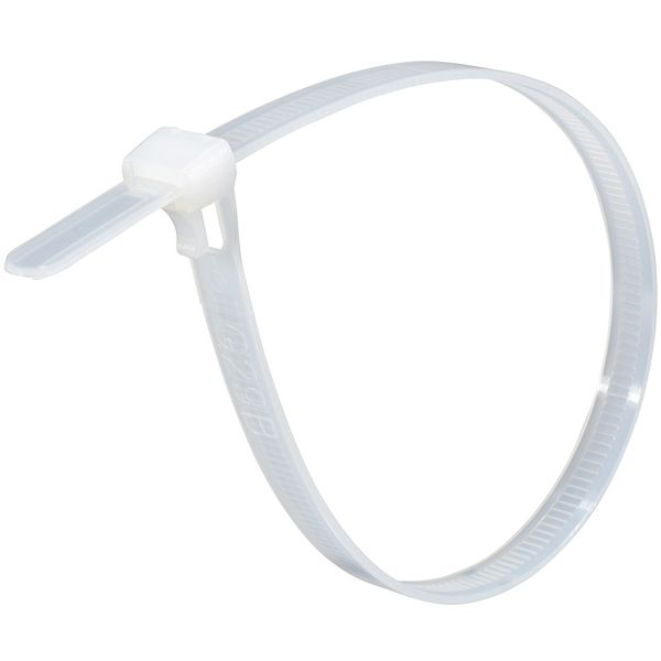 �������ŵ� RPT-300W30WH [��ԡ��ȥ��� ������ 300mm 30���� ��]