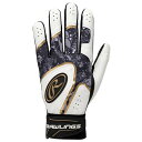 ローリングス 野球 バッティンググラブ 両手用 ブリザード ハイパーグリップ ブラック EBG23S06-B-XL B Rawlings