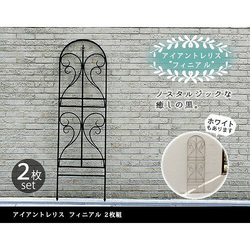 アイアントレリス フィニアル 2枚組 ブラック IF-FN7950-2P-BLK 住まいスタイル メ...