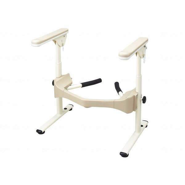 洋式トイレフレームSUS はねあげR-2 プラスチック肘掛け アロン化成 533068 メーカー直送