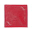 ʥ ѥХåȥȥޥåץХ å NANGA PARBAT CONTOUR MAP BANDANNA FREE RED NA2253-3F503 N1GTREN4 NANGA