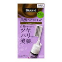 ブローネ美髪ヘアマニキュア アッシュブラウンクシ付72g 花王