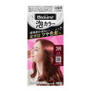 ブローネ泡カラー 3R ロゼブラウン108 ml 花王