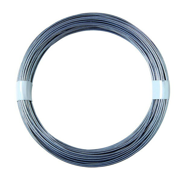 IW-044 針金 アイアイ