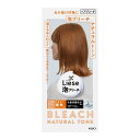 リーゼ 泡ブリーチ ナチュラルトーン 108ml 花王
