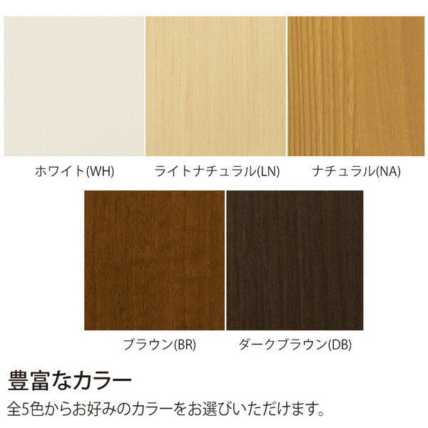 エースラック / カラーラック NC イドーダナ 30R BR 大洋 ブラウン [幅28.6cm用移動棚] メーカー直送 [2]